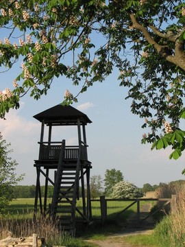 hochstand