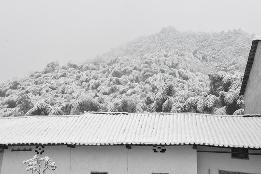 冬雪中鄉(xiāng)村老宅