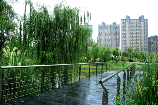 文石公園