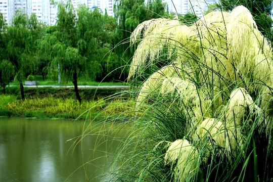 文石公園