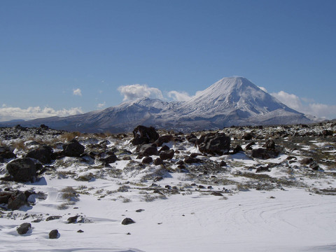 山