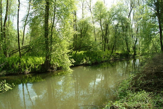 aulandschaft