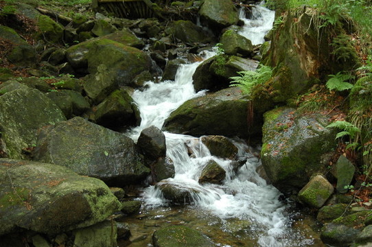 在feenwald