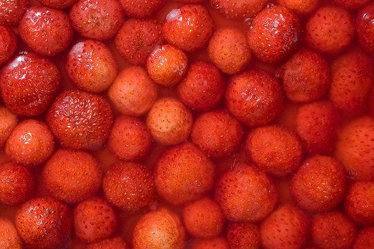 erdbeertorte 01