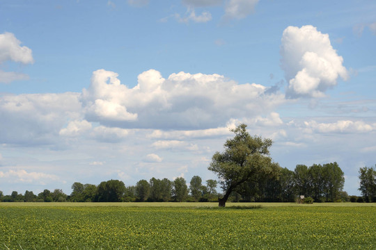 wolkenbild