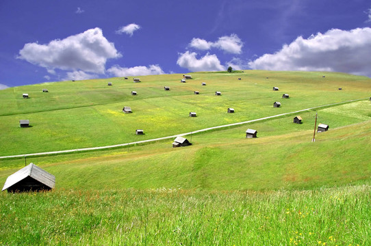 山