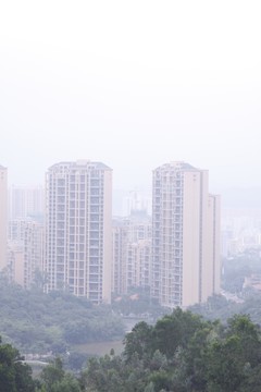森林 房屋