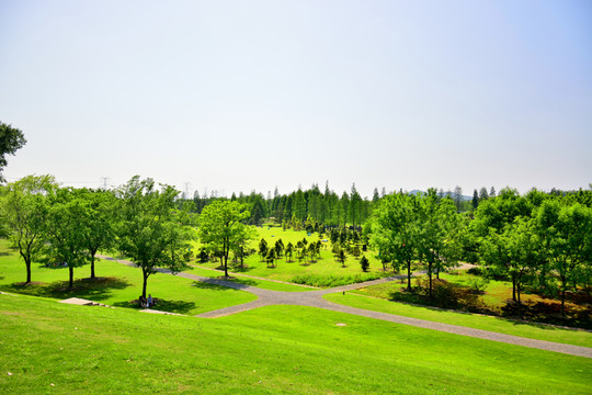 上海辰山植物園