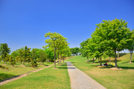 上海辰山植物園