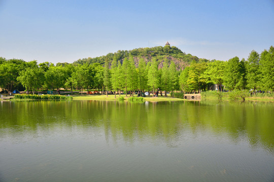 植物園