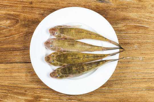 九母魚 狗母魚