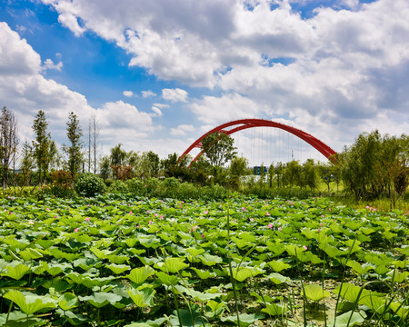 夏季藍天