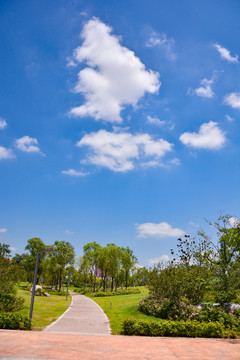 夏季藍(lán)天