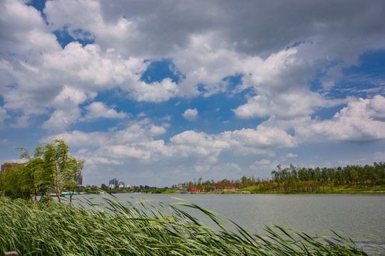 城市公園