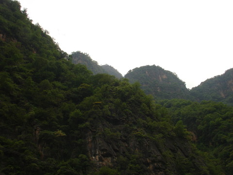 山