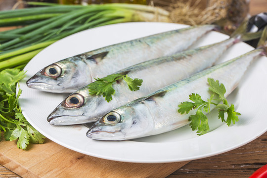 青占魚(yú) 鯖魚(yú)