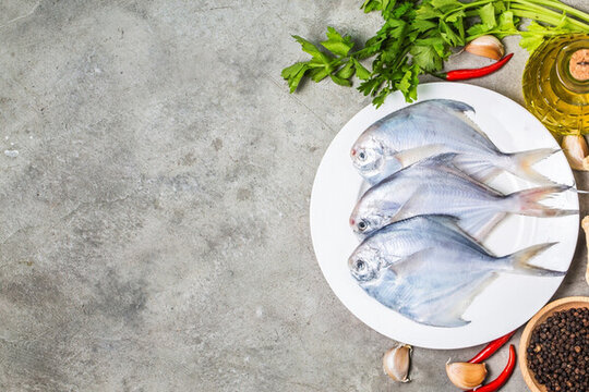 鯧魚(yú)