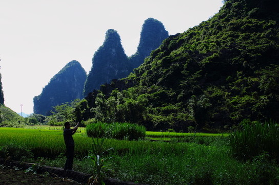 奇峰鎮(zhèn)風(fēng)光