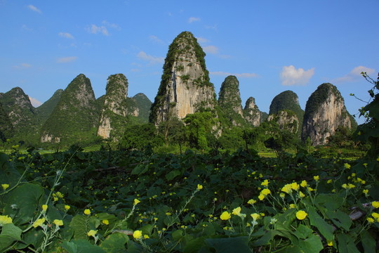 奇峰鎮(zhèn)東山