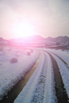 雪景車轍印