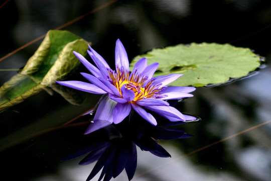 熱帶風(fēng)光