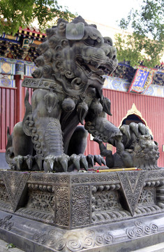 在寺廟女洛伊