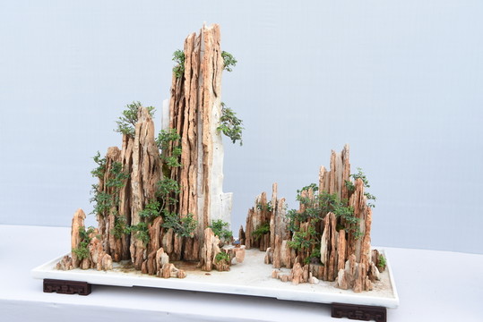 盆景盆栽