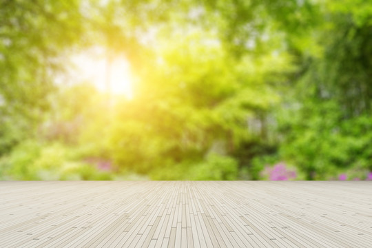 公園綠樹林模糊背景