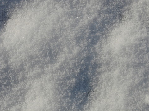 雪地