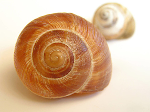 strandgut 1