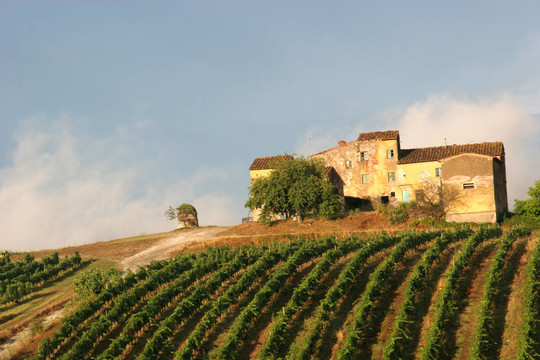 老weingut2