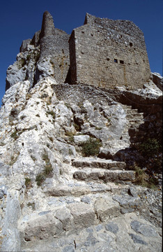 queribus6
