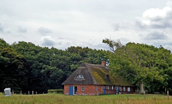 friesenhaus