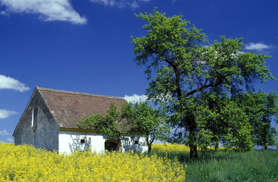 presshaus