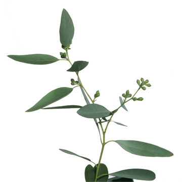 下午0041點