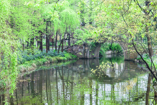 通利古橋