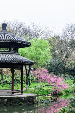 西湖晨景