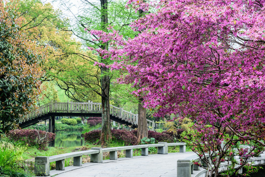 西湖園林景觀