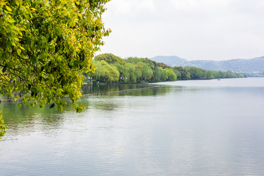 西湖蘇堤晨景