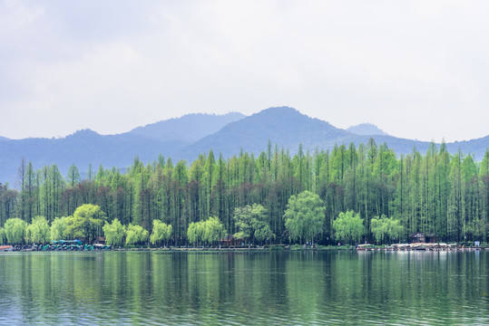 西湖晨景