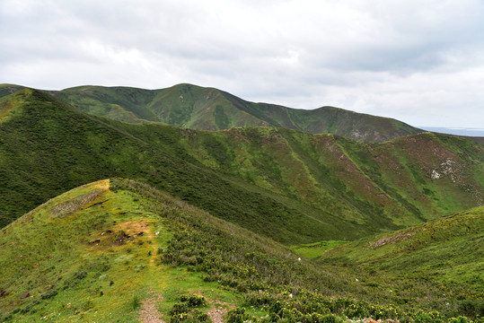 青山綠水
