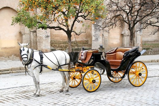 FIACRE II