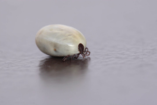 打上鉤