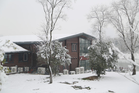 大蜀山 大蜀山森林公園 公園