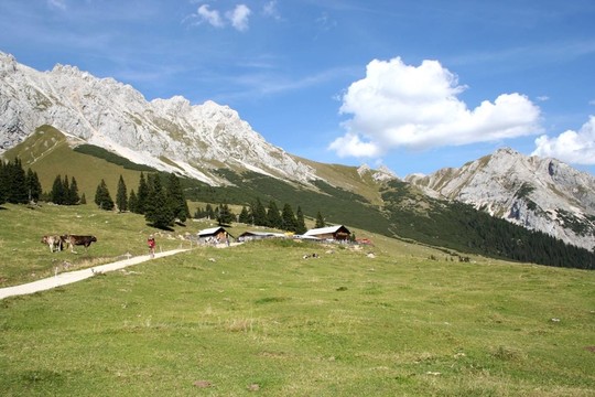 hochfeldernalm