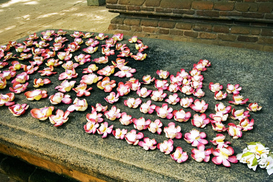 圣殿