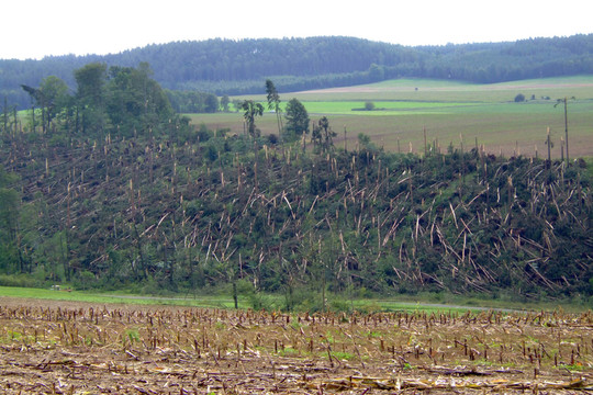 windbruch