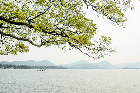 西湖風(fēng)光