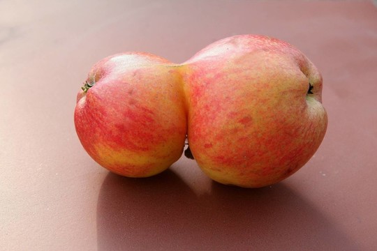 食品