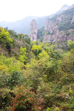 雁蕩山